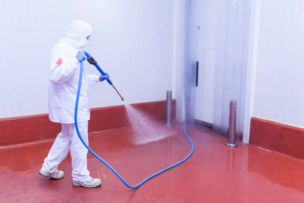 Best Commercial Pressure Washing in Strasburg, VA